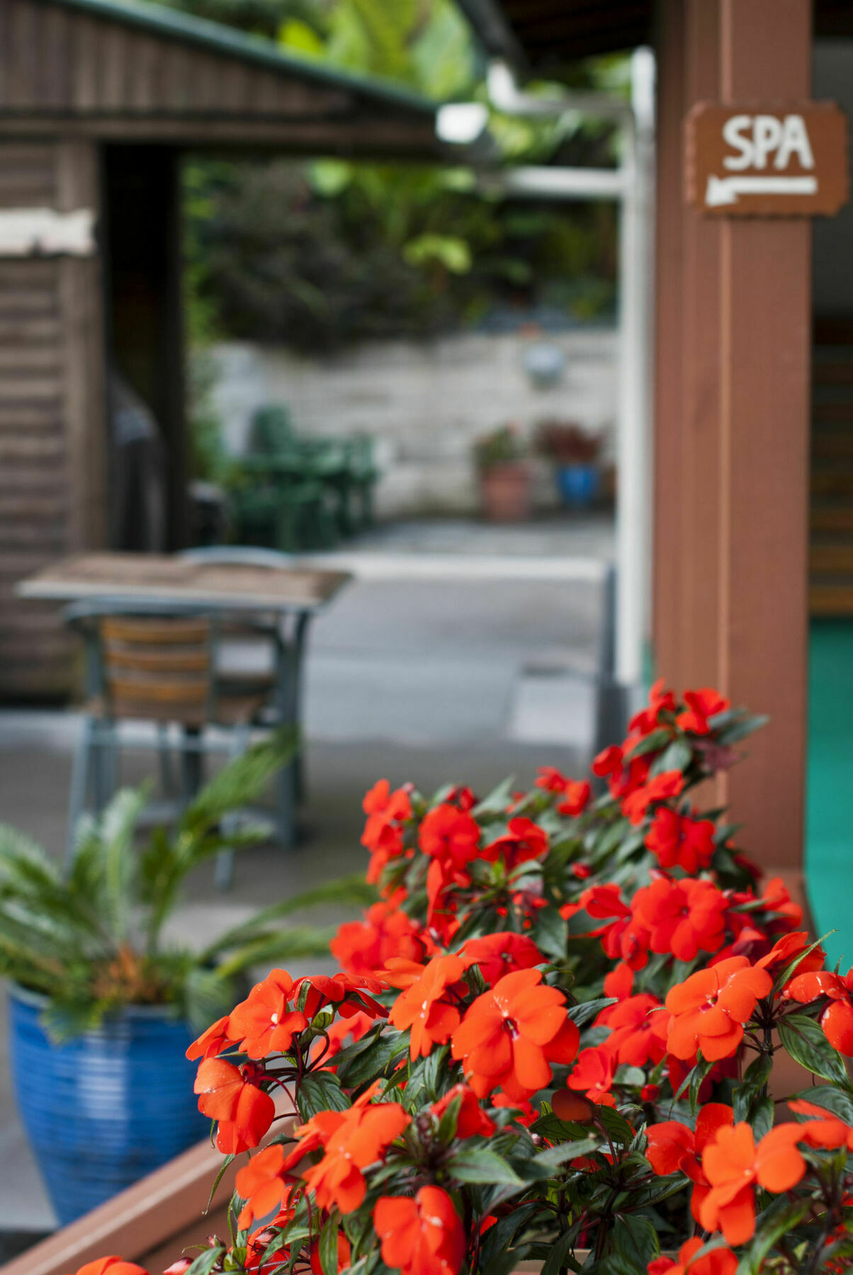 Swiss Chalet Lodge Motel Paihia Exterior photo
